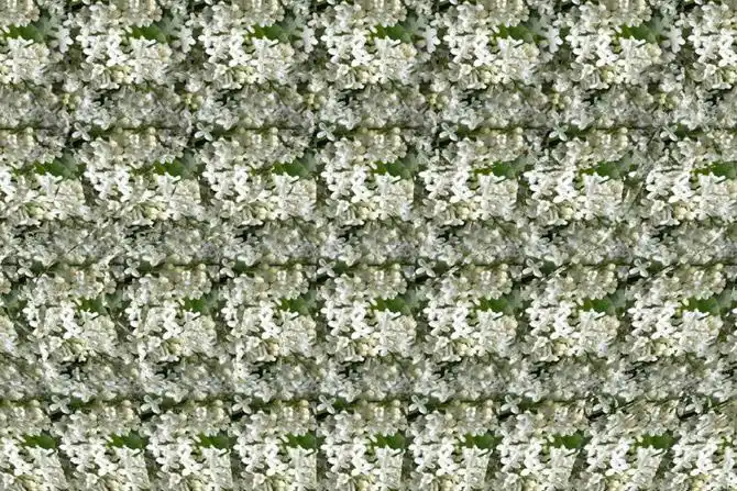 【转载】(酷图天地)3维立体图,你能看清多少?