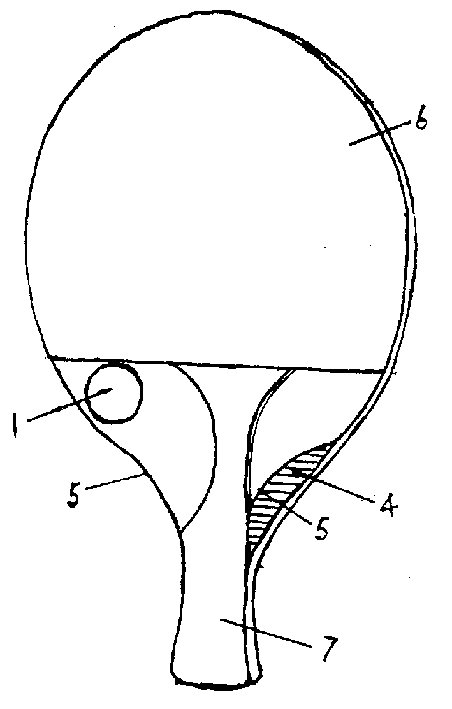 cn2598598y_一种乒乓球拍失效