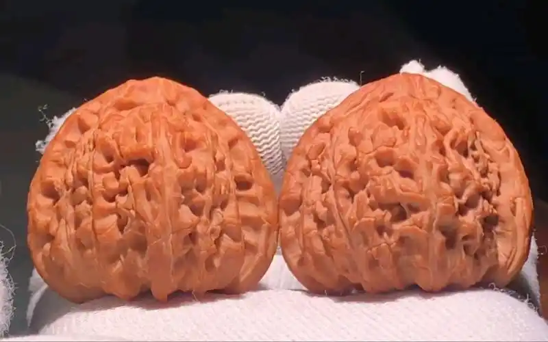 一对你从没见过的三角白狮子文玩核桃,重量46g,两只克重一模一样,绝配