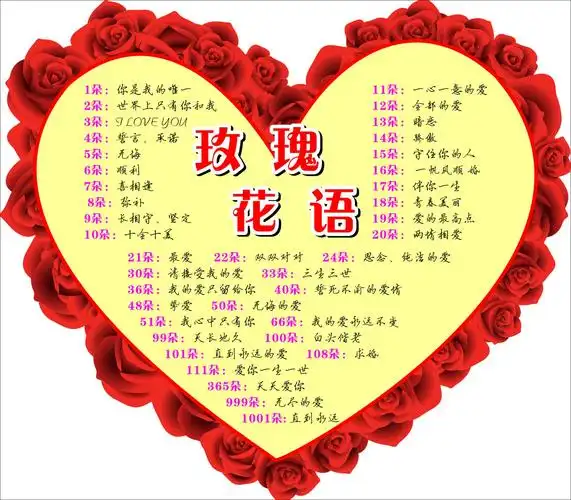 11朵红玫瑰花语(11朵红玫瑰花语大全)