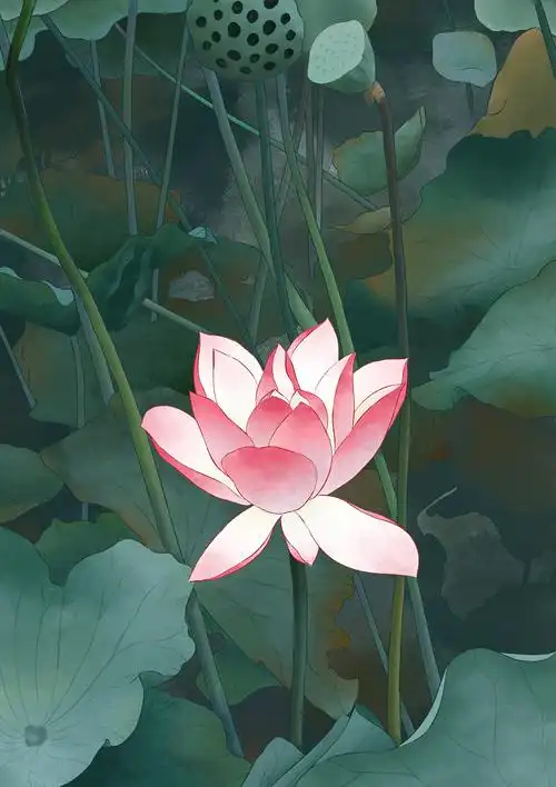 364天前 54 2 0 深圳  |  插画师 原创  -  插画  -  创作习作 菱小小