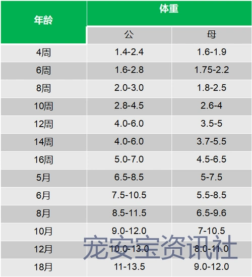 肉狗按体型大小可分为大,中,小三类;大型肉犬一般体重40多公斤,身高70