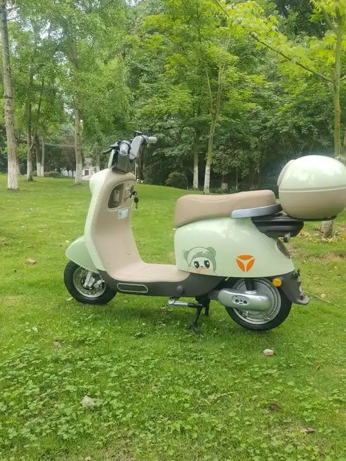 无需上牌的电动车图片
雅迪冠能q8电动车,小巧便捷却蕴含强大能量