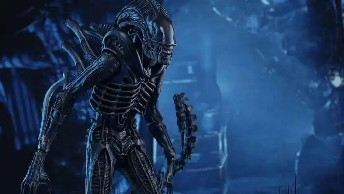 《异形》进化史.(异形:契约)影评