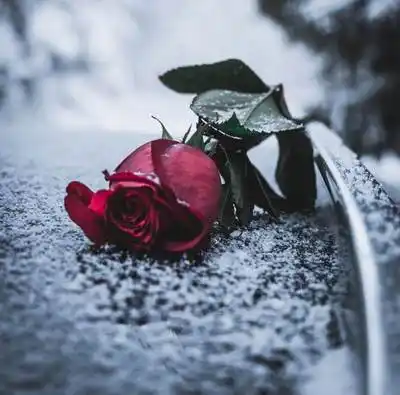 看过直呼痛的伤感文案集 - 伤感微丧 - 文案大白