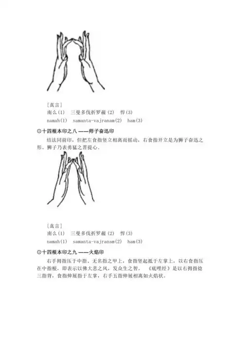 不动明王手印图解doc