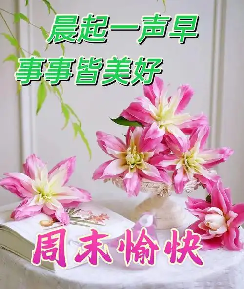 晚上好图片大全晚上好问候祝福语愿您好梦