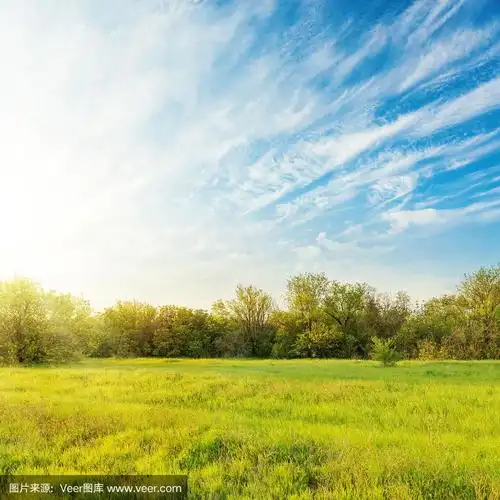 碧绿的草地,蔚蓝的天空,晚霞中的云朵