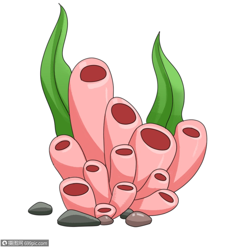 世界海洋日珊瑚