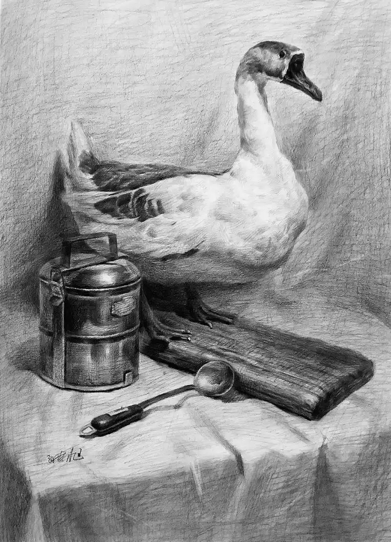 一张小鸭子,能及格么?各位大佬指点指点#素描#素描静物#美术 - 抖音