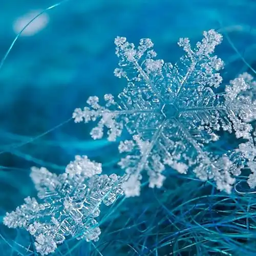 微信头像雪花图片大全微信头像大全高清雪景