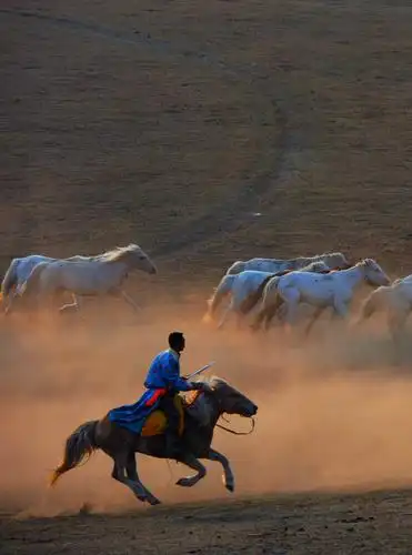 美丽的内蒙古坝上草原,这里是蒙古牧民的天堂,也是摄影爱好者向往的