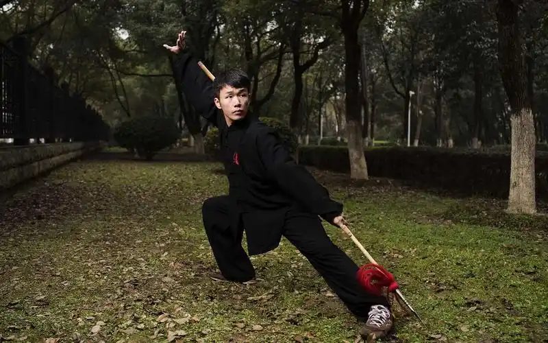 八极拳唐强老师讲解八极小架推闯,掸手,炮提,二郎担山_哔哩哔哩_bili