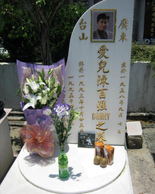 直击娱乐圈七位明星的墓地照,看完后感慨万千(2)