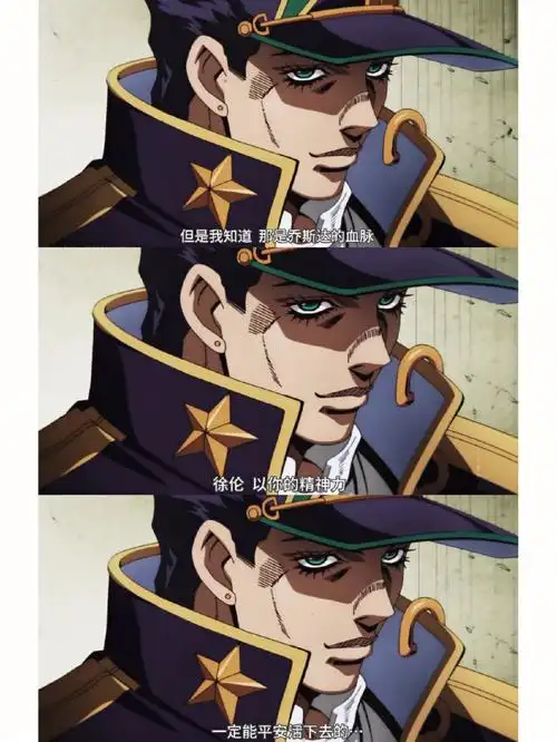 jojo的奇妙冒险承太郎之死