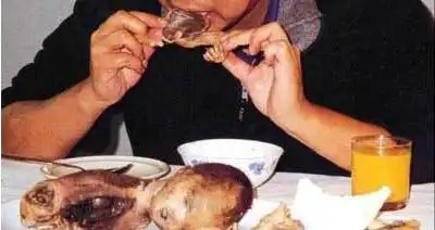 日本人吃婴儿有这回事吗?还是伪造的?