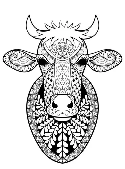 动物主题线描装饰绘画