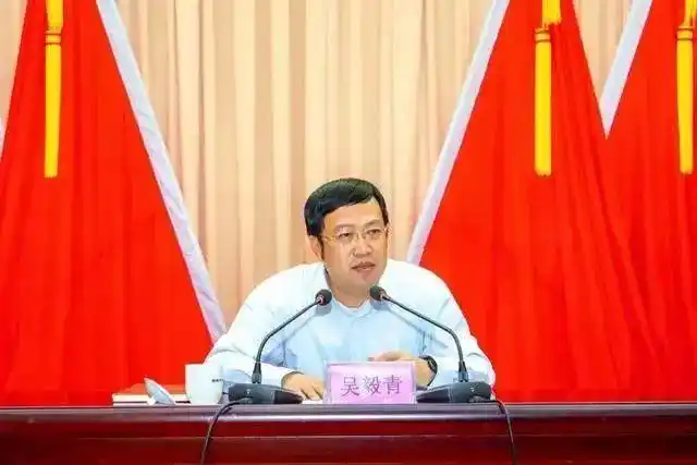 市政府原党组成员,副市长吴毅青严重违纪违法问题进行了立案审查调查