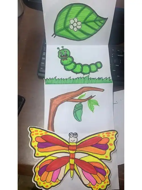 毛毛虫的蜕变过程