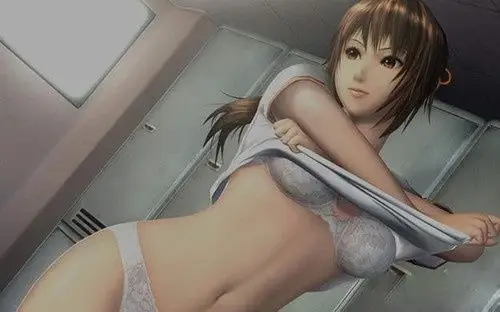 暴力色情!14款最离经叛道的成人游戏 电车之狼居首