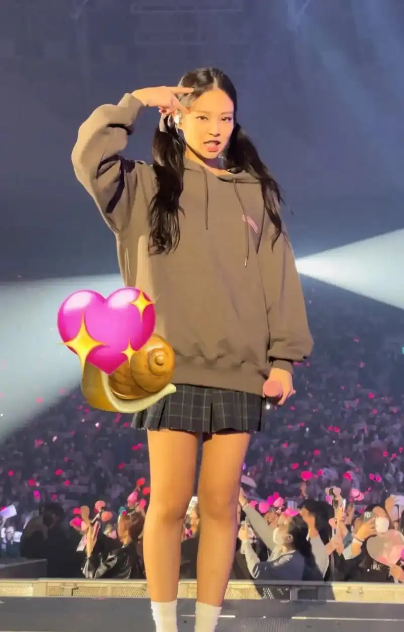 太爱双马尾妮妮啦#blackpink世界巡演 #jennie - 抖音