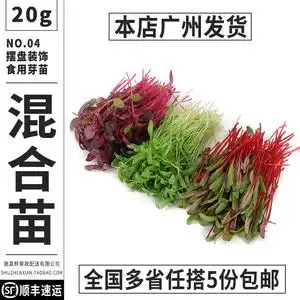 【蔬真鲜】新鲜混合芽苗约50g火红苗甜菜香菜苗西餐酒店摆盘装饰