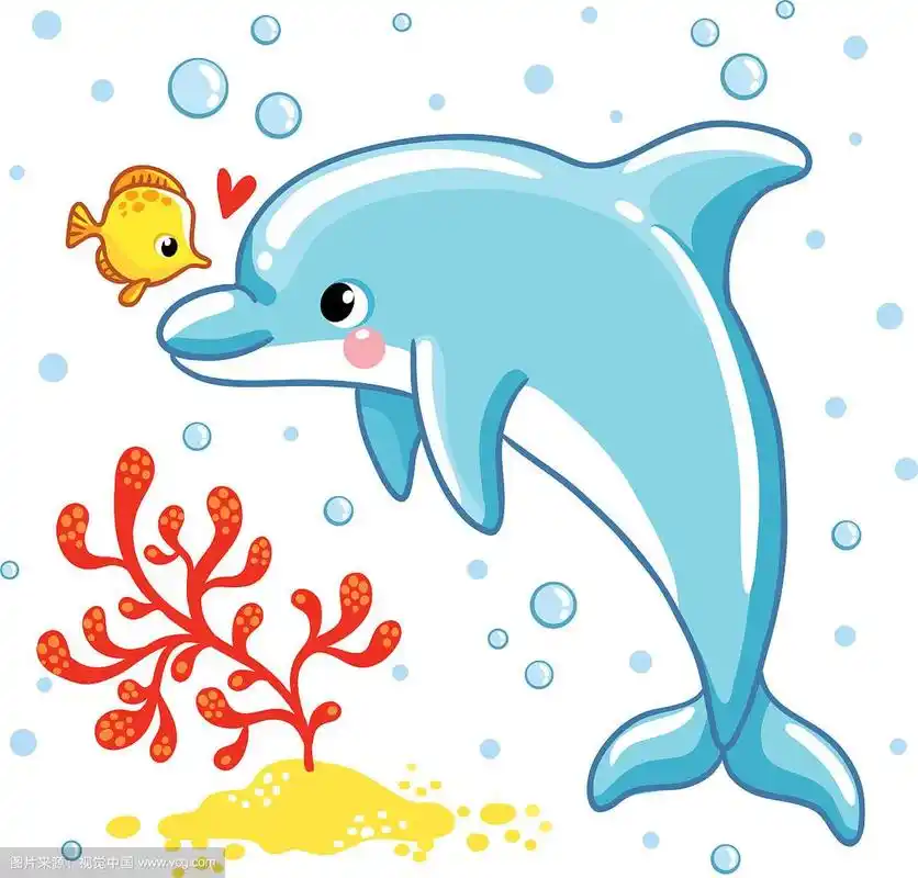 可爱的卡通海豚