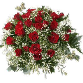 300_300gif 动态图 动图