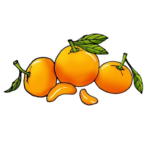手绘桔子图片大全