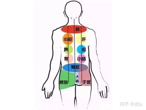 做1次背,你觉得没用;做5次背,头不晕,肩不痛,腰不酸,整人都精神了!