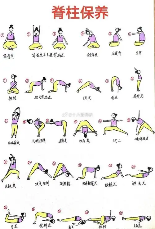 瑜伽排课灵活脊柱,伸展背部肌肉群,让脊柱回到正常的生理曲度,课程