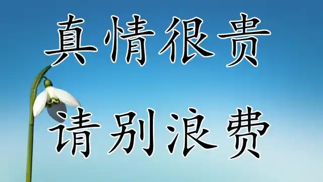 真情很贵,请别浪费,真心无价,生命至宝