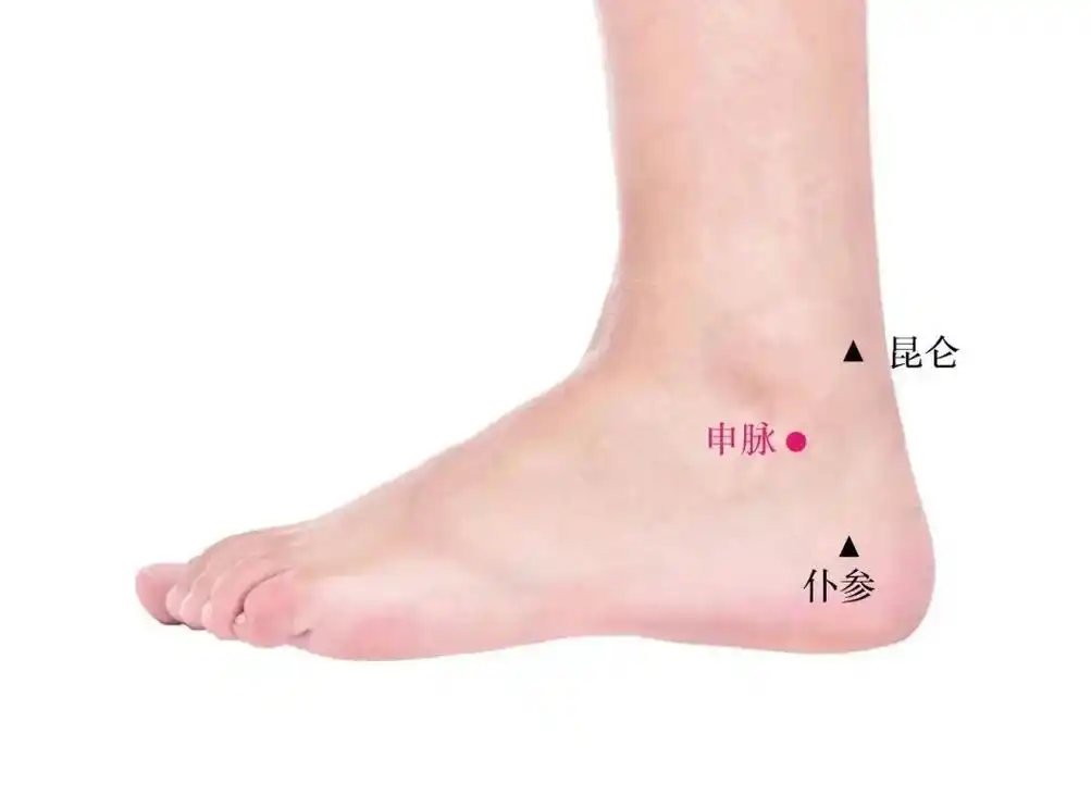 足太阳膀胱经(申脉)八脉交会穴通阳跷脉 - 抖音