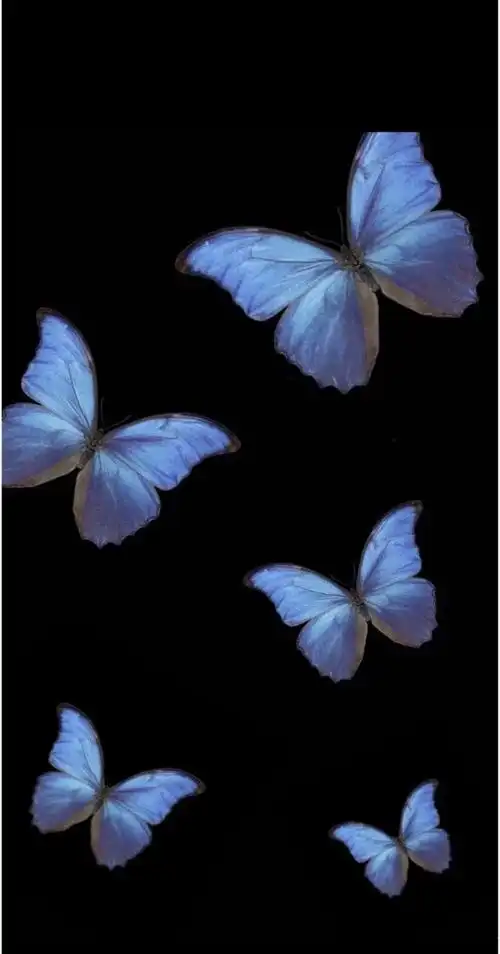 求图求蓝色蝴蝶的壁纸已找到