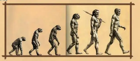 难以置信那张著名的人类进化图竟然是错的