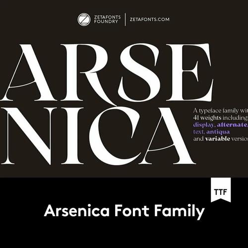 41款现代复古美学海报画册排版衬线英文字体设计素材 f2021091302