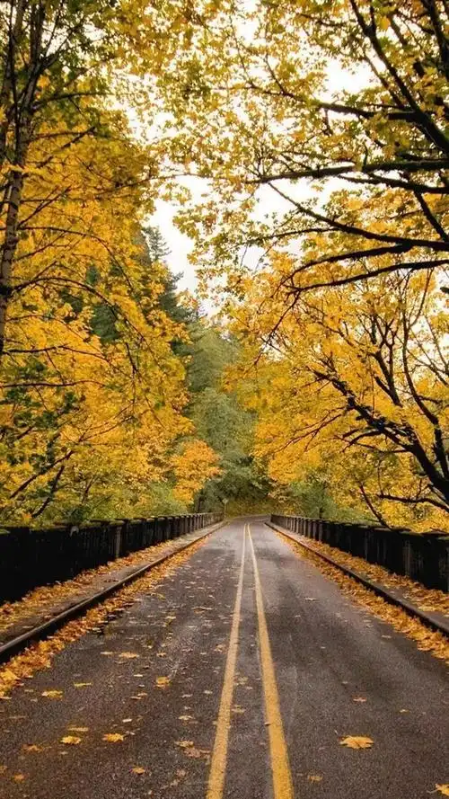 微信聊天背景图片高清