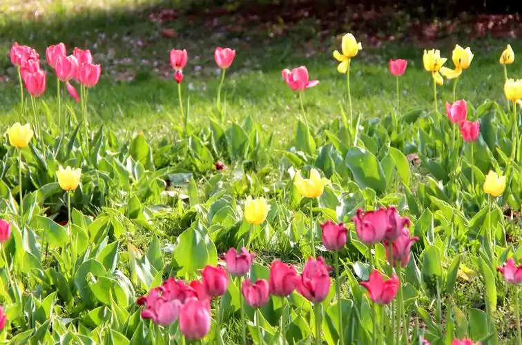 动人的美景,春天的美拍_高清图集_新浪网