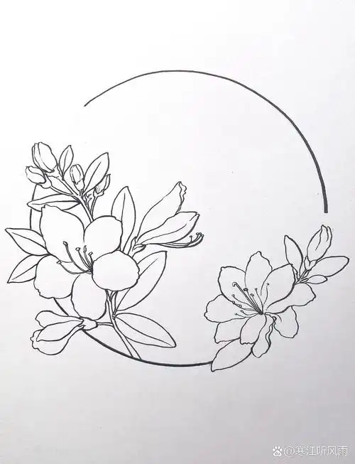 原创30|画画第【day135】附过程 95 原本观察的素材是杜鹃,但是画着