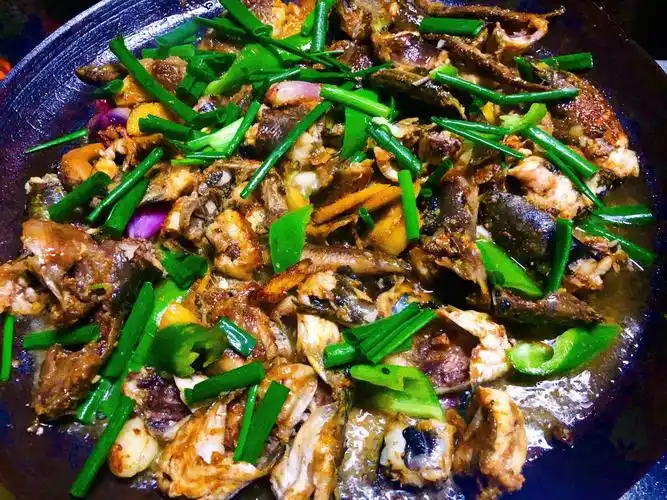 井岗村柴火饭推出主菜:窝仔卤水鹅,酸菜鹅 ,碌鹅,白切鸡,水鱼.