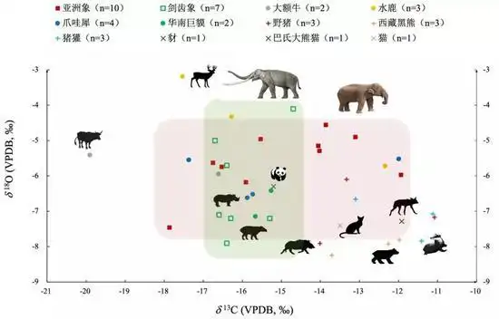 图4 渠仔洞遗址亚洲象动物群的稳定同位素分析数据散点图
