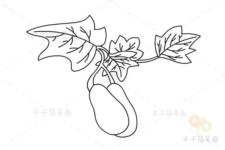 冬瓜树简笔画