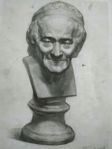 这个伏尔泰石膏像的步骤图