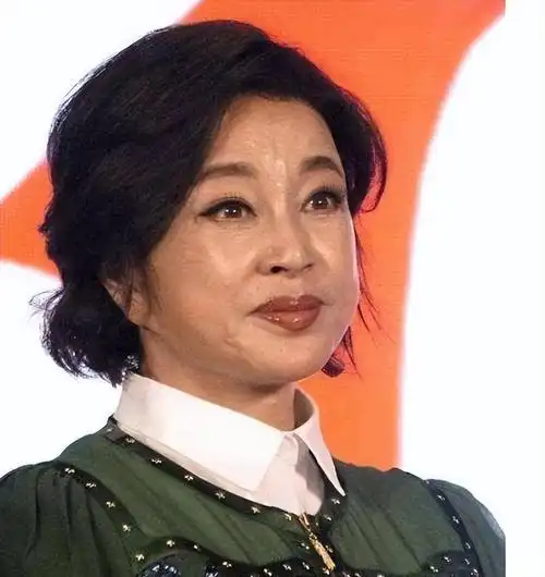 刘晓庆,赵雅芝被嘲老态"吓人" ,一场"容貌焦虑"正在疯狂蔓延_seo技术