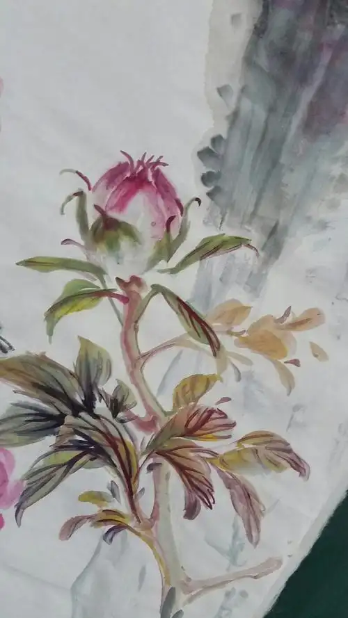 牡丹花朵,花蕾等结构,调色及用笔