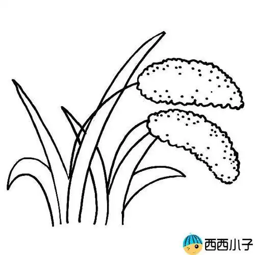 春季农作物简笔画 简笔画图片大全-普车都