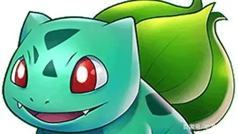 精美图组精灵宝可梦no1妙蛙种子