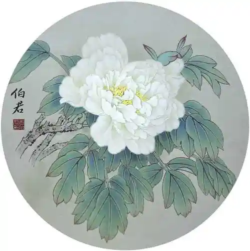 牡丹工笔小品的创作:分步骤图解白牡丹工笔画法,简单易学,收藏