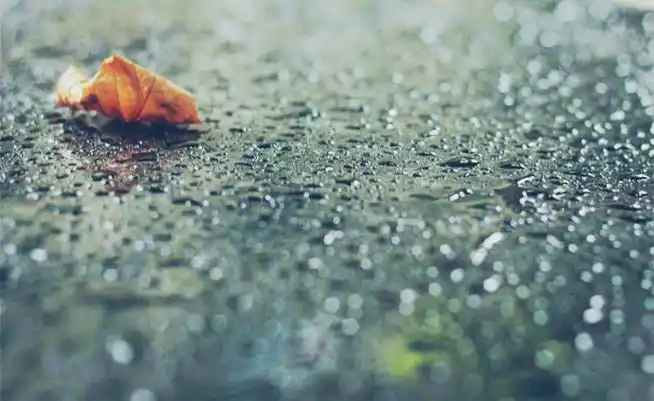 你那里下雨了吗?