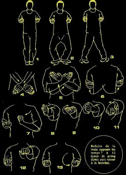 "谁有咏春拳拳谱(全套带图的)八卦拳,太极拳,形意拳也行"